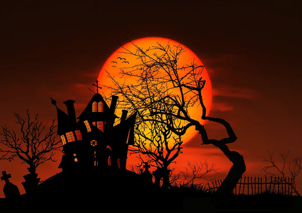 haunted house with large orange moon
