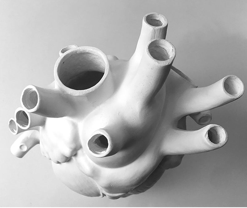 Anatomical Heart Ceramic Vase